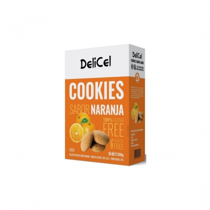 DELICEL_-_Galletitas_de_Naranja_x_200gr._DEL284_1