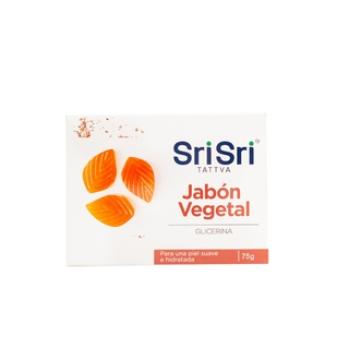 SRI_SRI_-_Jabon_Ayurvédico_Vegetal_Gilcerina_100g_BJAGGY_1 | SRI_SRI_-_Jabon_Ayurvédico_Vegetal_Gilcerina_100g