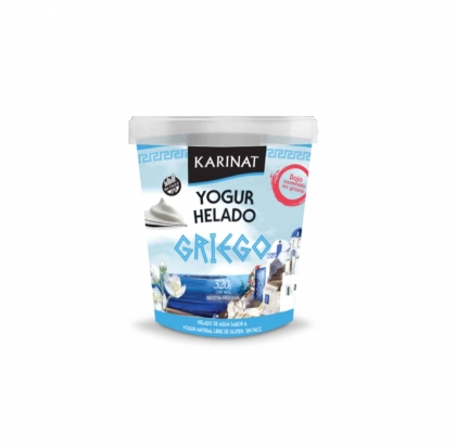 KARINAT_-_Yugur_Helado_GRIEGO__320gr_HF8318_1
