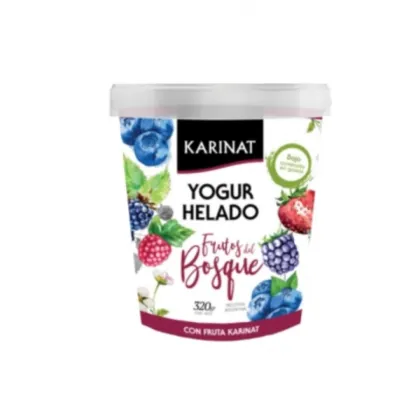 KARINAT - YOGUR HELADO Frutos del Bosque  Pote 320gr