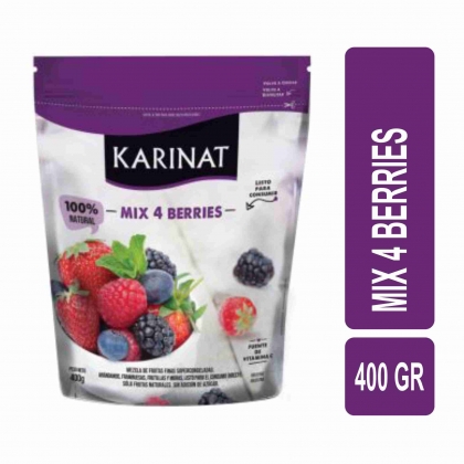 KARINAT-MIX_4_BERRIES_DOYPACK_400GRS__HF5017_1