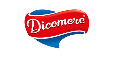 MARCAS DESTACADAS